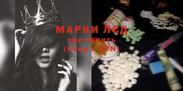 прущие грибы Бородино