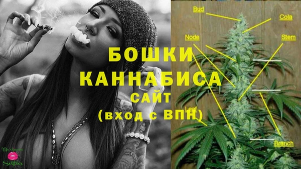 ПСИЛОЦИБИНОВЫЕ ГРИБЫ Баксан