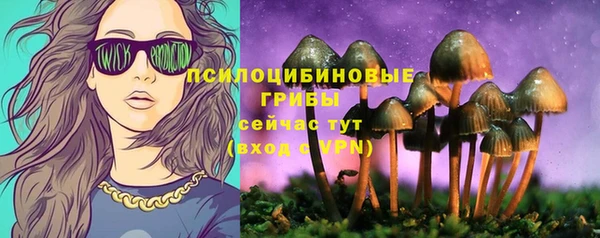 ПСИЛОЦИБИНОВЫЕ ГРИБЫ Баксан