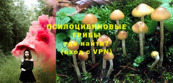 спайс Балахна
