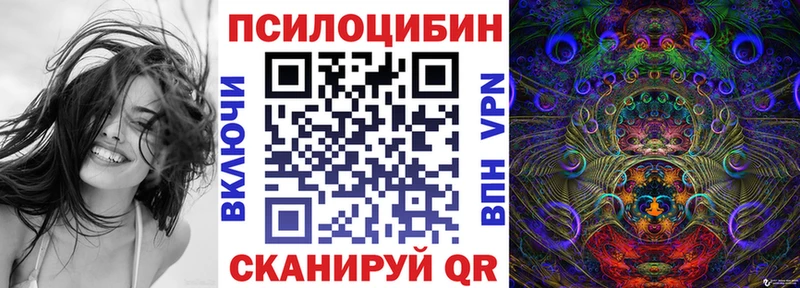 Псилоцибиновые грибы Psilocybe  Свирск 