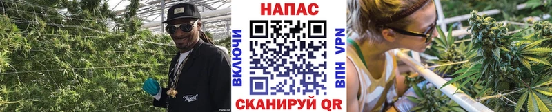 Шишки марихуана сатива  KRAKEN сайт  Свирск 